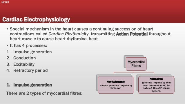 Heart Electrophysiology Pdf Heart Electrophysiology Pdf