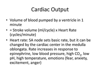 Cardiac Output
• Volume of blood pumped by a ventricle in 1
  minute
• = Stroke volume (ml/cycle) x Heart Rate
  (cycles/minute)
• Heart rate: SA node sets basic rate, but it can be
  changed by the cardiac center in the medulla
  oblongata. Rate increases in response to
  epinephrine, low blood pressure, high CO2, low
  pH, high temperature, emotions (fear, anxiety,
  excitement, anger)
 