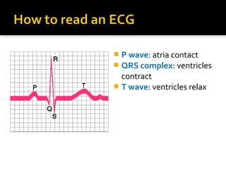  P wave: atria contact
 QRS complex: ventricles
contract
 T wave: ventricles relax
 