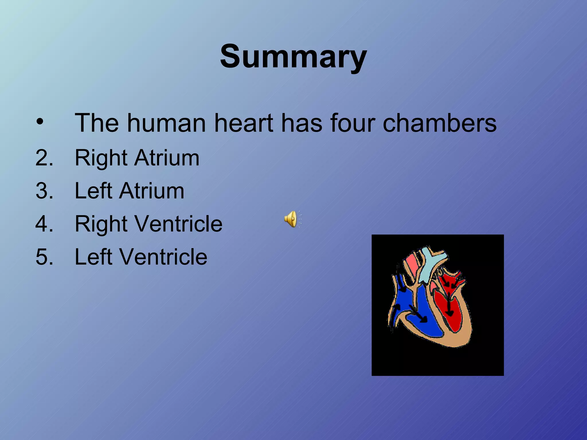 Summary The human heart has four chambers Right Atrium Left Atrium Right Ventricle Left Ventricle 