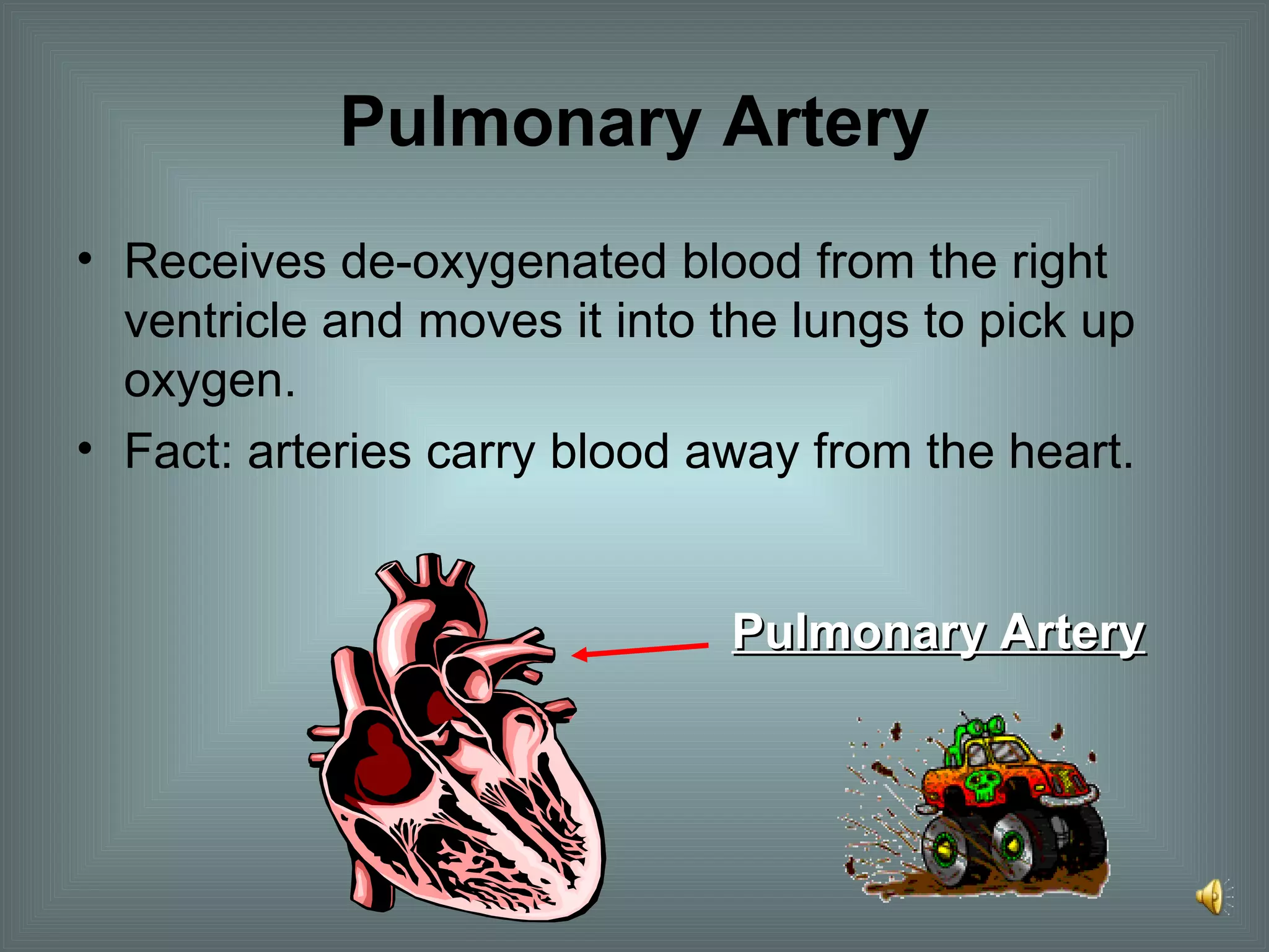 Pulmonary Artery Receives de-oxygenated blood from the right ventricle and moves it into the lungs to pick up oxygen. Fact: arteries carry blood away from the heart. Pulmonary Artery 