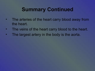 Summary Continued The arteries of the heart carry blood away from the heart. The veins of the heart carry blood to the heart. The largest artery in the body is the aorta. 
