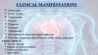CLINICAL MANIFESTATIONS
 Chest pain
 Fever, Chills
 Tachycardia
 Fatigue
 Dyspnea
 Syncope
 Palpitations
 Discomfort in chest and upper abdomen
 Flue like symptoms like headache ,body aches ,joint pain
ENDOCARDIUM:
 Valvular damage
 Rapture of cordhae tandinae
 Pulmonary Embolism
 Heart Block
 
