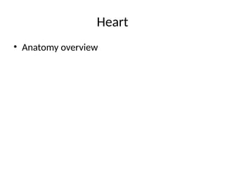 Comprehensive Overview of Heart Anatomy and Clinical Aspects | PPTX