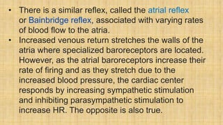 • There is a similar reflex, called the atrial reflex
or Bainbridge reflex, associated with varying rates
of blood flow to the atria.
• Increased venous return stretches the walls of the
atria where specialized baroreceptors are located.
However, as the atrial baroreceptors increase their
rate of firing and as they stretch due to the
increased blood pressure, the cardiac center
responds by increasing sympathetic stimulation
and inhibiting parasympathetic stimulation to
increase HR. The opposite is also true.
 