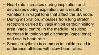 • Heart rate increases during inspiration and
decreases during expiration, as a result of
variations in vagal tone that affect the SA node.
• During inspiration, impulses from lung stretch
receptors carried by vagii inhibit cardioinhibitory
area (vagal centre) in the medulla, resulting
decrease in tonic vagal discharge (vagal tone)
and rise in heart rate.
• Sinus arrhythmia is common in children and in
endurance athletes with slow heart rates.
 