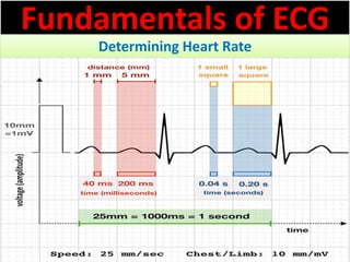 Approach to a patient with Heart rate abnormality in ECG | PPSX