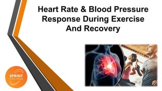 Heart Rate & Blood Pressure
Response During Exercise
And Recovery
 