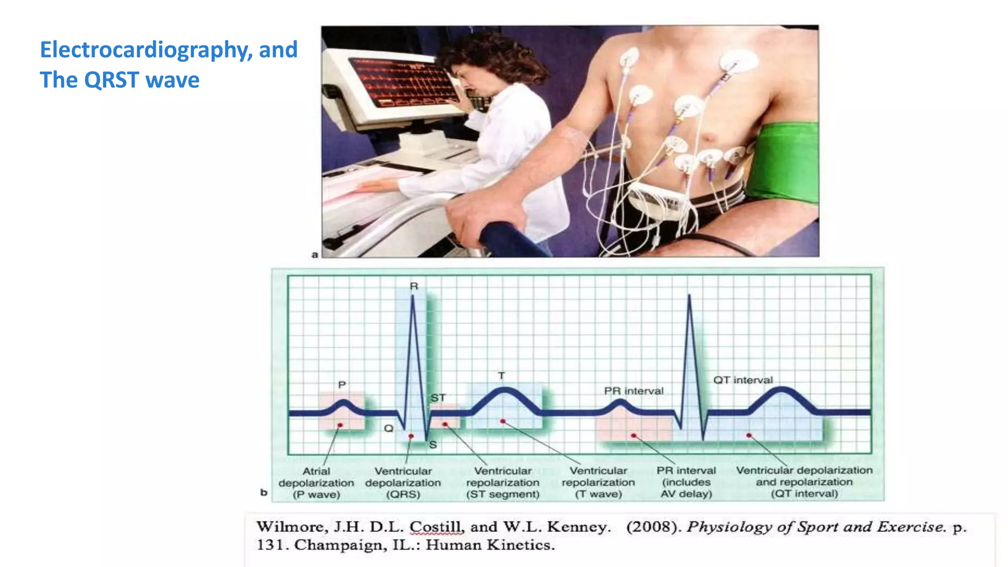Heart Rate Variability Young Women - Captivating Insights