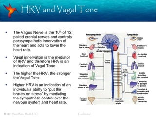 HRV and Vagal Tone
© 2014 SweetWater Health LLC Confidential
 The Vagus Nerve is the 10th of 12
paired cranial nerves and...