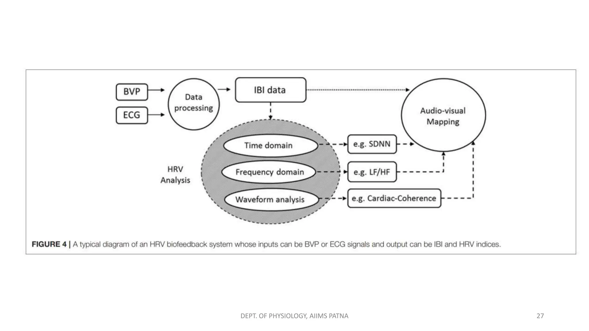 27
DEPT. OF PHYSIOLOGY, AIIMS PATNA
 