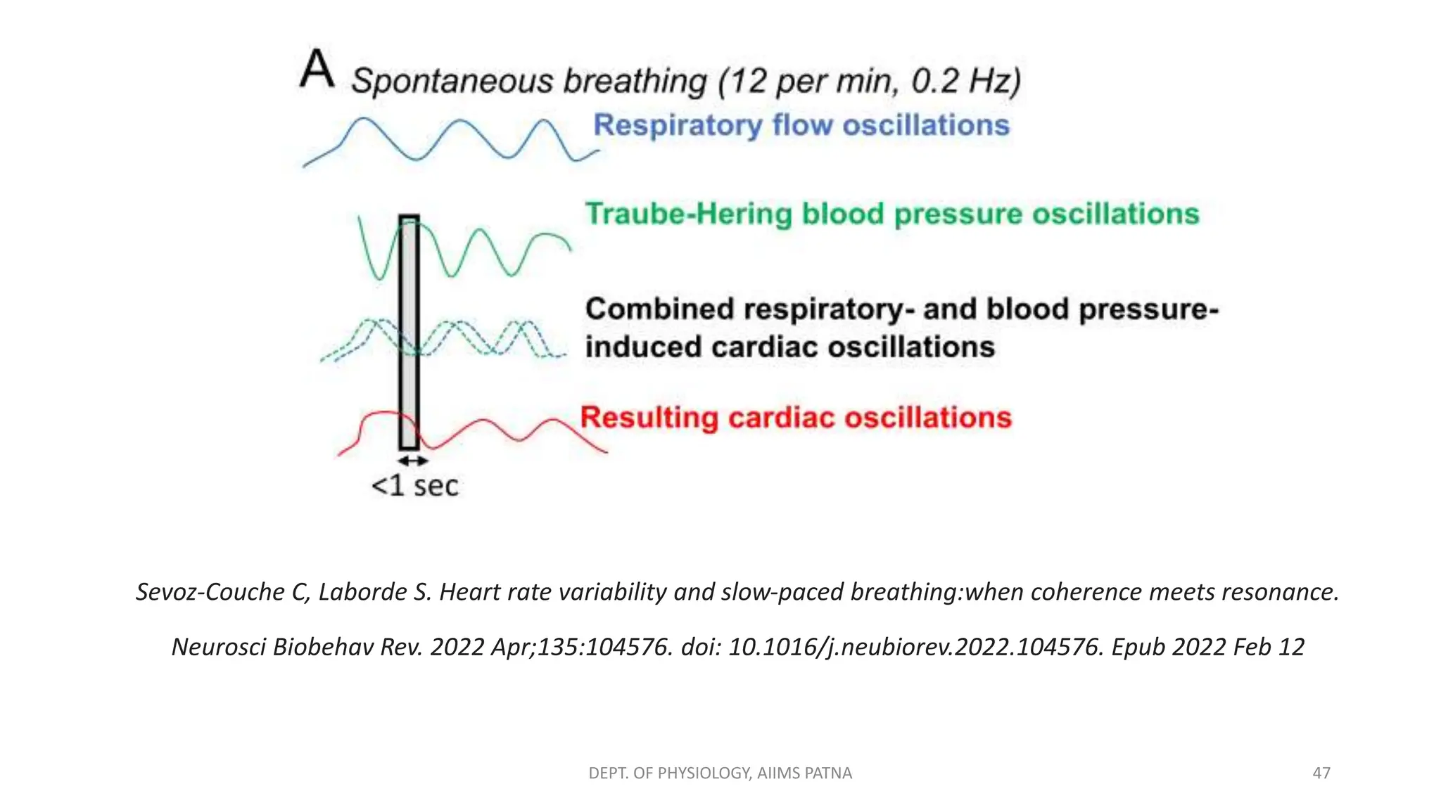 47
DEPT. OF PHYSIOLOGY, AIIMS PATNA
Sevoz-Couche C, Laborde S. Heart rate variability and slow-paced breathing:when coherence meets resonance.
Neurosci Biobehav Rev. 2022 Apr;135:104576. doi: 10.1016/j.neubiorev.2022.104576. Epub 2022 Feb 12
 