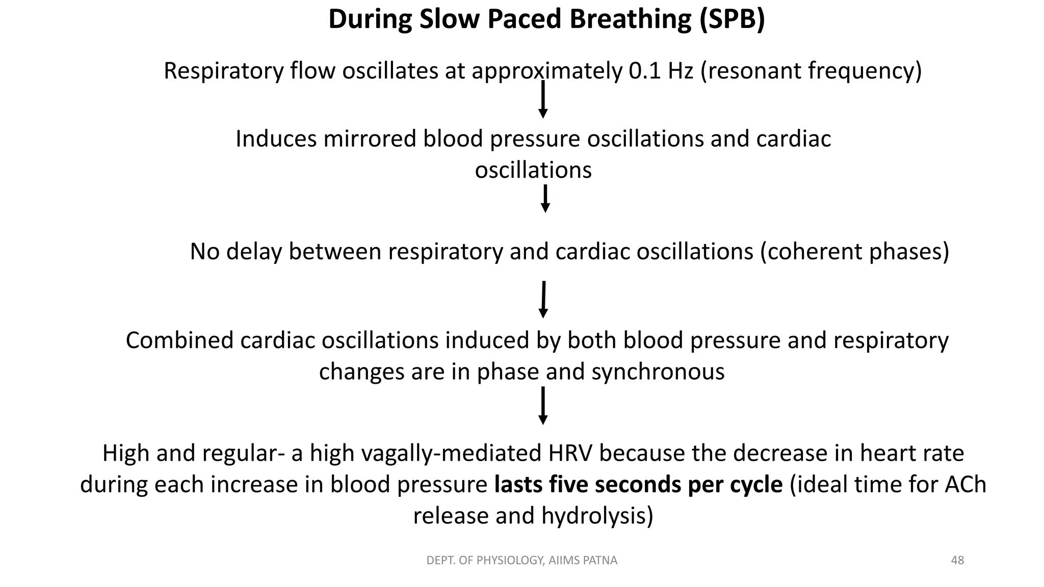48
Respiratory flow oscillates at approximately 0.1 Hz (resonant frequency)
During Slow Paced Breathing (SPB)
Induces mirrored blood pressure oscillations and cardiac
oscillations
No delay between respiratory and cardiac oscillations (coherent phases)
so Combined cardiac oscillations induced by both blood pressure and respiratory
changes are in phase and synchronous
High and regular- a high vagally-mediated HRV because the decrease in heart rate
during each increase in blood pressure lasts five seconds per cycle (ideal time for ACh
release and hydrolysis)
DEPT. OF PHYSIOLOGY, AIIMS PATNA
 