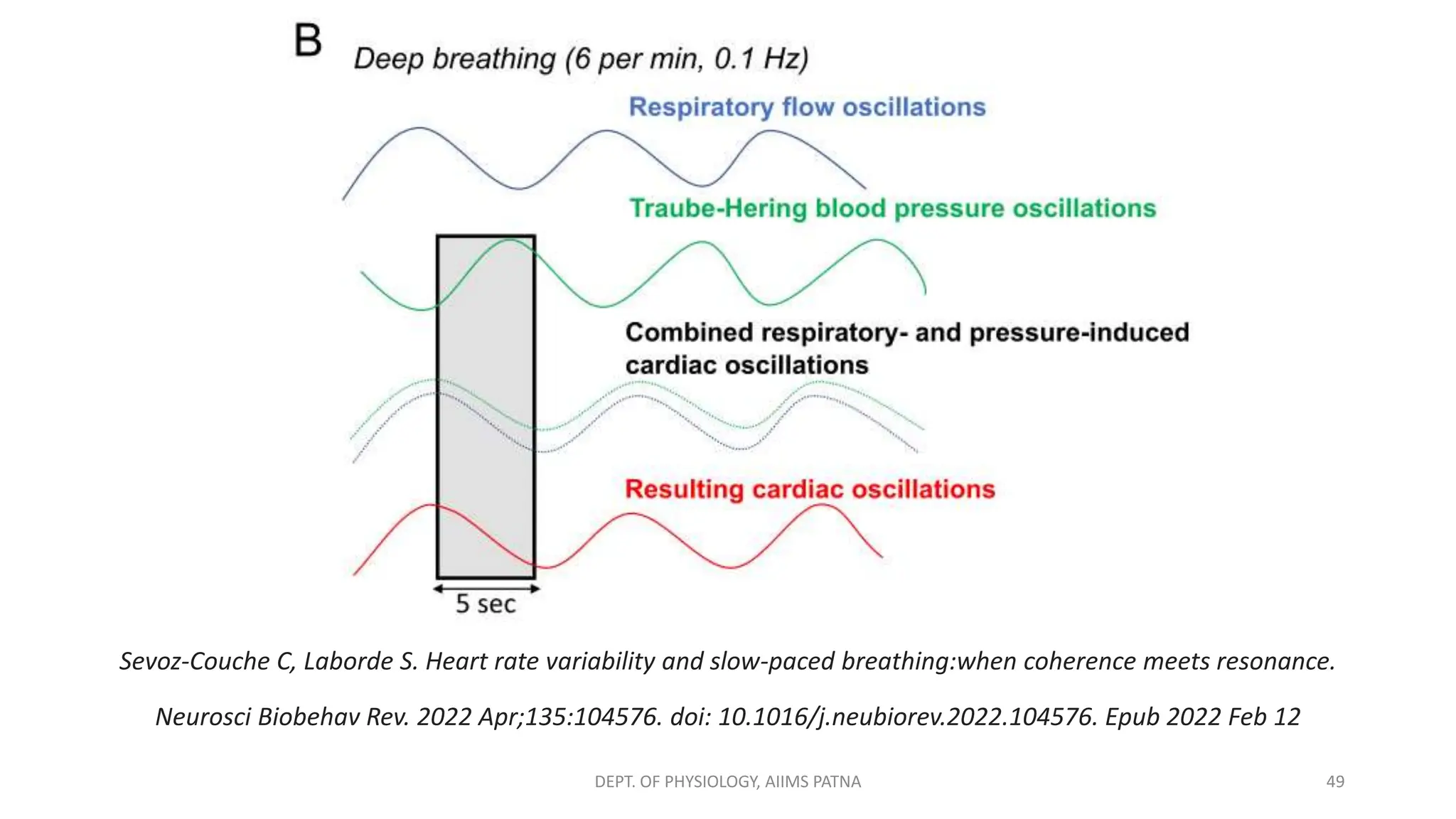 49
DEPT. OF PHYSIOLOGY, AIIMS PATNA
Sevoz-Couche C, Laborde S. Heart rate variability and slow-paced breathing:when coherence meets resonance.
Neurosci Biobehav Rev. 2022 Apr;135:104576. doi: 10.1016/j.neubiorev.2022.104576. Epub 2022 Feb 12
 