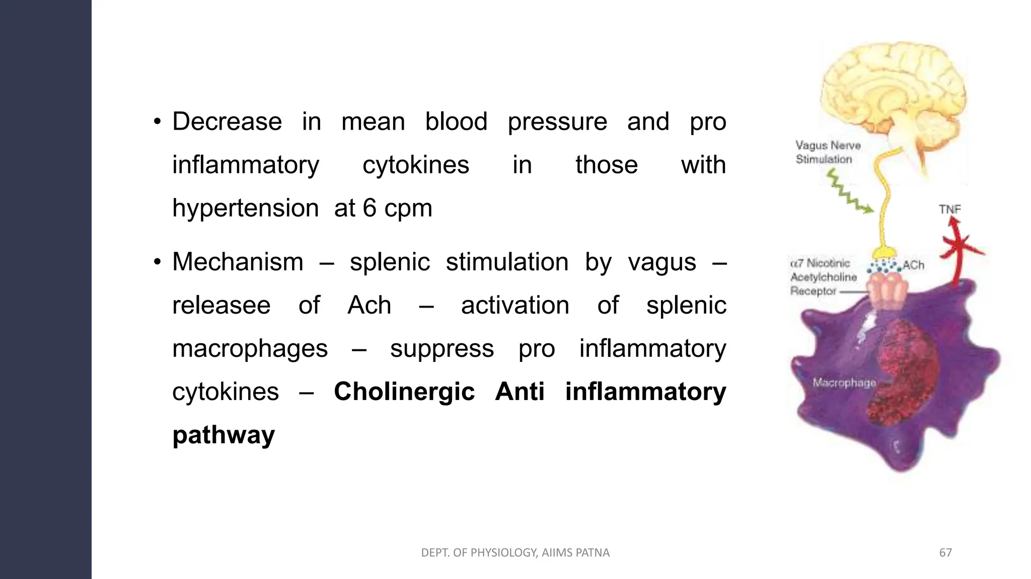 • Decrease in mean blood pressure and pro
inflammatory cytokines in those with
hypertension at 6 cpm
• Mechanism – splenic stimulation by vagus –
releasee of Ach – activation of splenic
macrophages – suppress pro inflammatory
cytokines – Cholinergic Anti inflammatory
pathway
67
DEPT. OF PHYSIOLOGY, AIIMS PATNA
 