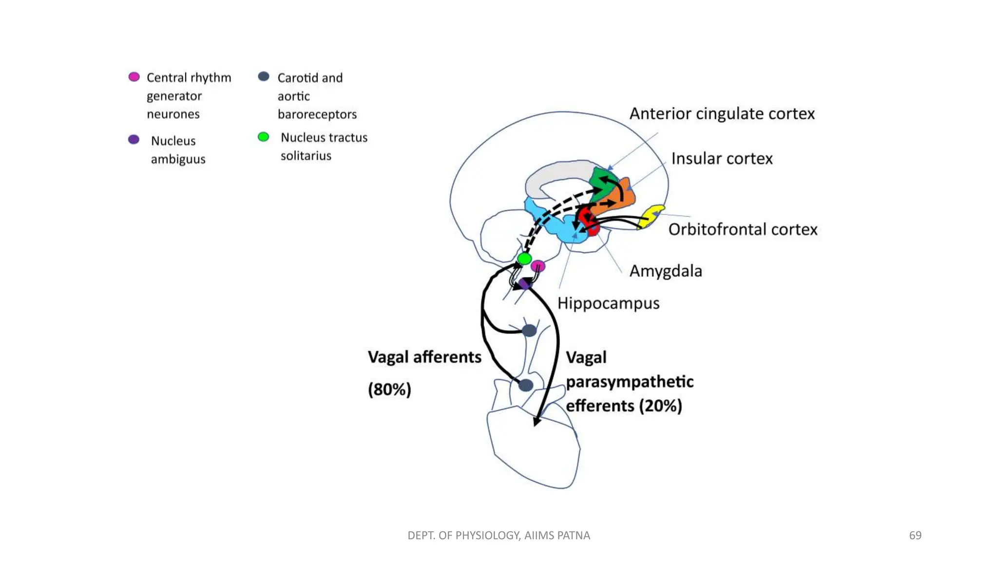 69
DEPT. OF PHYSIOLOGY, AIIMS PATNA
 