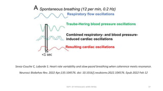 Principles and Methods of Heart Rate Variability Biofeedback | PPTX