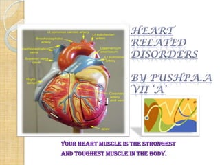 Your heart muscle is the strongest
and toughest muscle in the body.
 