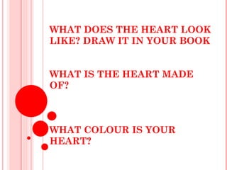 WHAT DOES THE HEART LOOK LIKE? DRAW IT IN YOUR BOOK WHAT IS THE HEART MADE OF?  WHAT COLOUR IS YOUR HEART? 