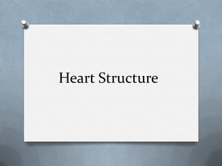Heart Structure

 
