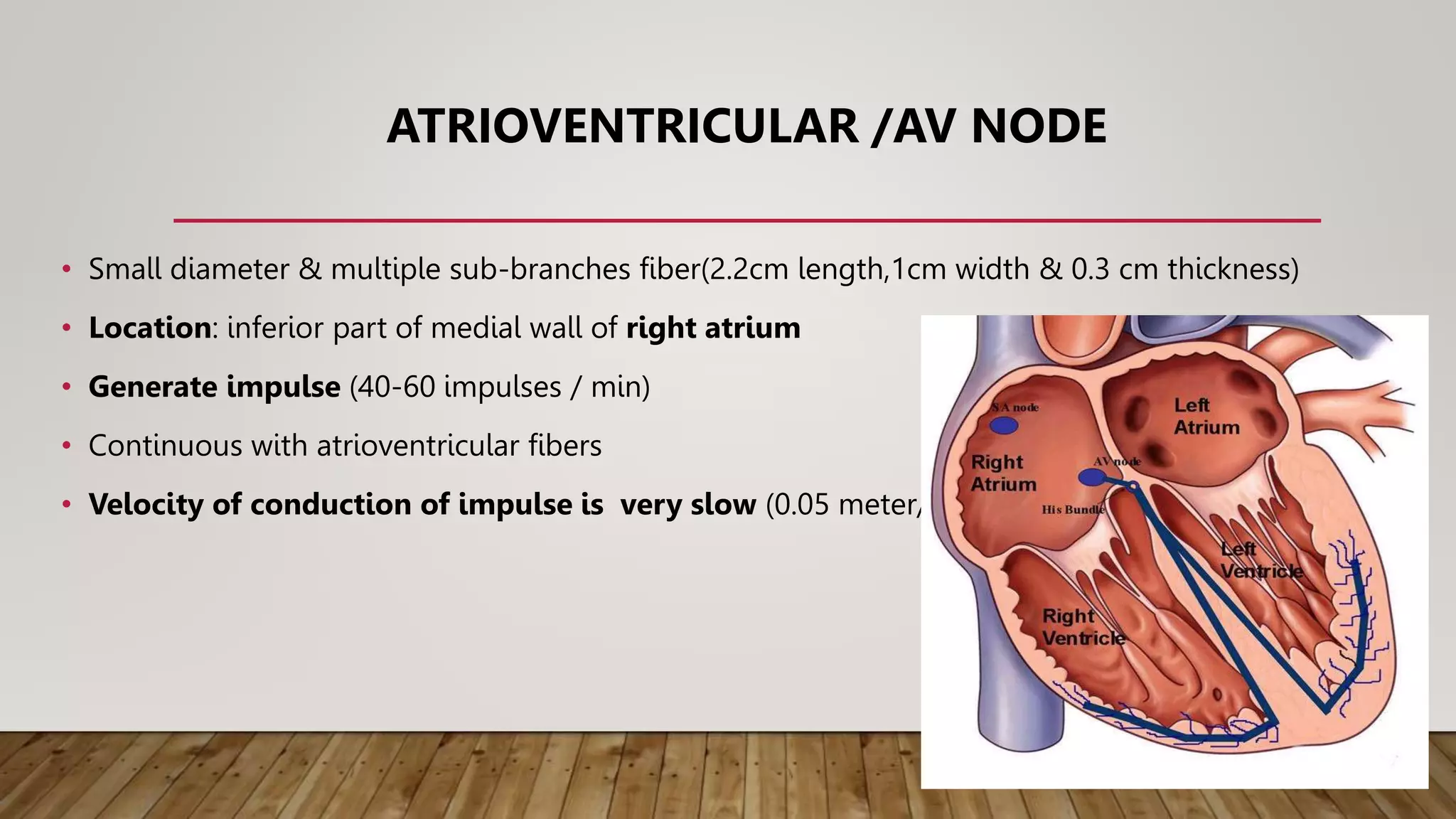 CONDUCTING SYSTEM OF HEART.pptx