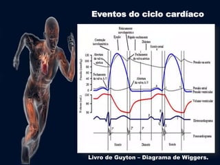 Eventos do ciclo cardíaco 
Livro de Guyton – Diagrama de Wiggers. 
 