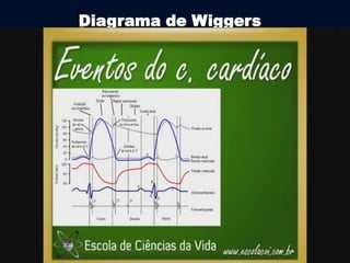 Diagrama de Wiggers 
 