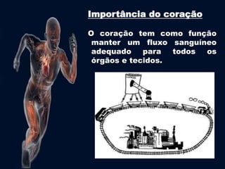 Importância do coração 
O coração tem como função 
manter um fluxo sanguíneo 
adequado para todos os 
órgãos e tecidos. 
 