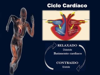 Ciclo Cardíaco 
Diástole 
Sístole 
 