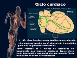 Ciclo cardíaco 
 NS: Gera impulsos numa freqüência mais elevada; 
Os impulsos gerados no nó sinusal são transmitidos 
para o nó AV por feixes inter-atriais; 
NAV: Retardo de 1 minuto na velocidade de 
transmissão dos impulsos cardíacos depois disso 
serão transmitidos aos ventrículos por meio de fibras 
localizadas no septo interventricular. 
 