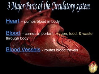 Heart   – pumps blood in body Blood   – carries important  oxygen, food, & waste through body Blood Vessels   - routes blood travels 3 Major Parts of the Circulatory system 