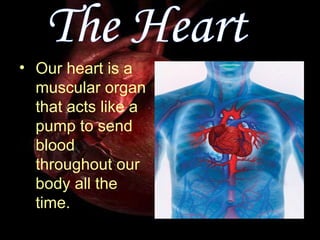Our heart is a muscular organ that acts like a pump to send blood throughout our body all the time.  The Heart 