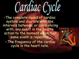 The complete  round  of  cardiac   systole  and  diastole  with the  intervals  between, or commencing with, any event in the  hearts   action  to the  moment  when that same event is repeated.  .The frequency of the cardiac cycle is the  heart rate .  Cardiac Cycle 