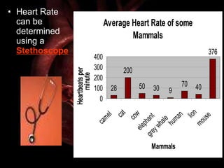 Heart Rate can be determined using a  Stethoscope 