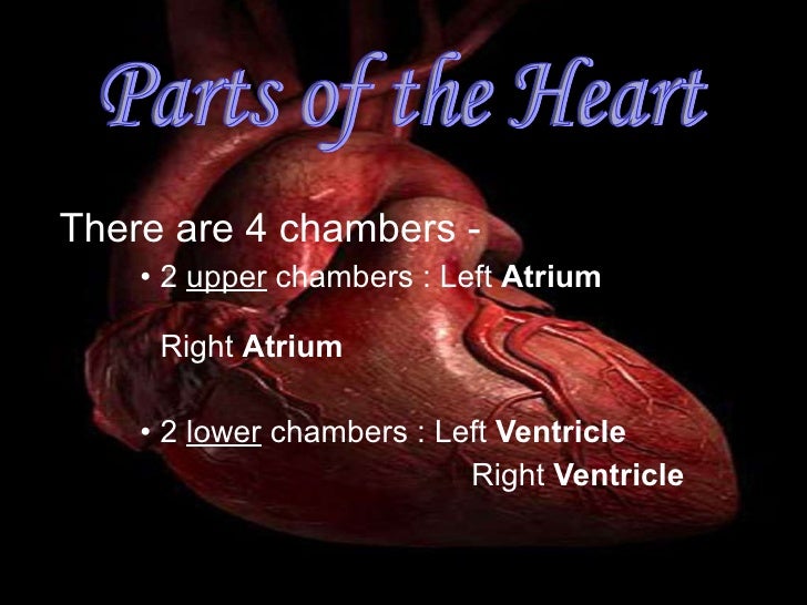 heart platform slides