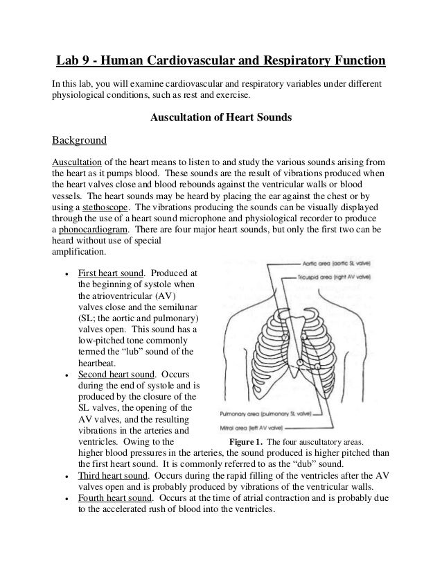 Heart sounds