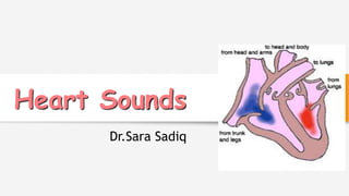 Heart Sounds
Dr.Sara Sadiq
 