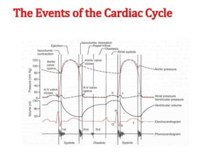 The Events of the Cardiac Cycle
 
