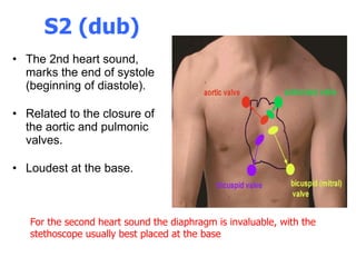 S2 (dub) The 2nd heart sound, marks the end of systole (beginning of diastole).  Related to the closure of the aortic and pulmonic valves.  Loudest at the base.  For the second heart sound the diaphragm is invaluable, with the stethoscope usually best placed at the base 
