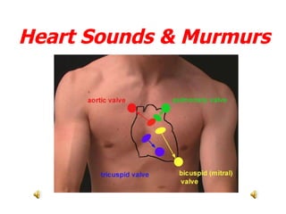 Heart Sounds & Murmurs 