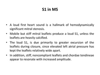 S1 in MS
• A loud first heart sound is a hallmark of hemodynamically
significant mitral stenosis.
• Mobile but stiff mitral leaflets produce a loud S1, unless the
leaflets are heavily calcified.
• The loud S1, is due primarily to greater excursion of the
leaflets during closure, since elevated left atrial pressure has
kept the leaflets relatively wide apart.
• In addition, stiff, noncompliant leaflets and chordae tendineae
appear to resonate with increased amplitude.
 