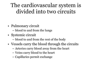 The cardiovascular system is divided into two circuits Pulmonary circuit  blood to and from the lungs Systemic circuit  blood to and from the rest of the body Vessels carry the blood through the circuits Arteries carry blood away from the heart Veins carry blood to the heart Capillaries permit exchange  