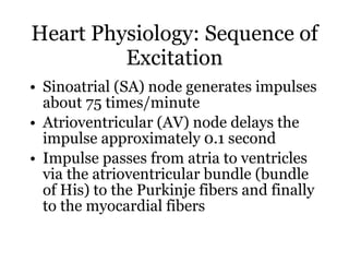 Heart Physiology: Sequence of Excitation <ul><li>Sinoatrial (SA) node generates impulses about 75 times/minute </li></ul><...