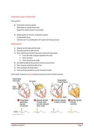Conduction system of the heart

Two systems :

        Autonomic nervous system
    -   Slow down or speeds heart rate
    -   Depend on which division it activated

        Nodal system or intrinsic condustion system
    -   A specialized tissue
    -   Function as it is a combination of muscle and nervous tissue

Nodal system

    1) Depend on AV node and SA node
    2) SA node located at right atrium
    3) Also called as pacemaker because it starts the heart beat
            From SA node, impulse spread to the atria
            Atria contract
            Then spread to AV node
    4) AV node located at the junction of atria and ventricle
    5) Then impulse send to bundle of His
    6) Then spread to Purkinje fibers
    7) From purkinje spread to muscle of ventricle walls

At AV node, impulse is delayed because to wait for atria to finish contract




nik@biolove2013                                                               Page 4
 