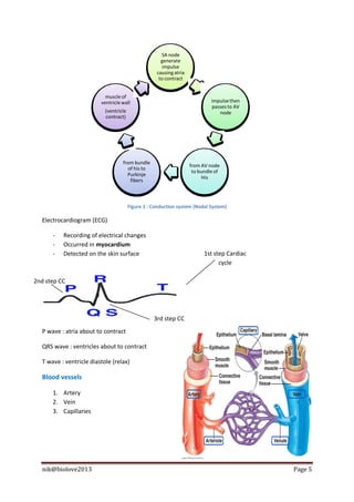 SA node
                                                      generate
                                                       impulse
                                                    causing atria
                                                     to contract


                           muscle of
                         ventricle wall                                      impulse then
                                                                             passes to AV
                           (ventricle                                           node
                           contract)




                                   from bundle
                                                                    from AV node
                                     of his to
                                                                     to bundle of
                                     Purkinje
                                                                         His
                                      fibers



                                        Figure 1 : Conduction system (Nodal System)

  Electrocardiogram (ECG)

      -   Recording of electrical changes
      -   Occurred in myocardium
      -   Detected on the skin surface                                    1st step Cardiac
                                                                                cycle

2nd step CC




                                                   3rd step CC
  P wave : atria about to contract

  QRS wave : ventricles about to contract

  T wave : ventricle diastole (relax)

  Blood vessels

      1. Artery
      2. Vein
      3. Capillaries




  nik@biolove2013                                                                            Page 5
 