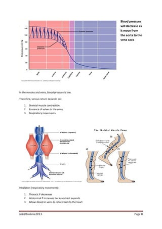 Blood pressure
                                                             will decrease as
                                                             it move from
                                                             the aorta to the
                                                             vena cava




In the venules and veins, blood pressure is low.

Therefore, venous return depends on :

    1.   Skeletal muscle contraction
    2.   Presence of valves in the veins
    3.   Respiratory movements




Inhalation (respiratory movement) :

    1.   Thoracic P decreases
    2.   Abdominal P increases because chest expands
    3.   Allows blood in veins to return back to the heart



nik@biolove2013                                                        Page 8
 