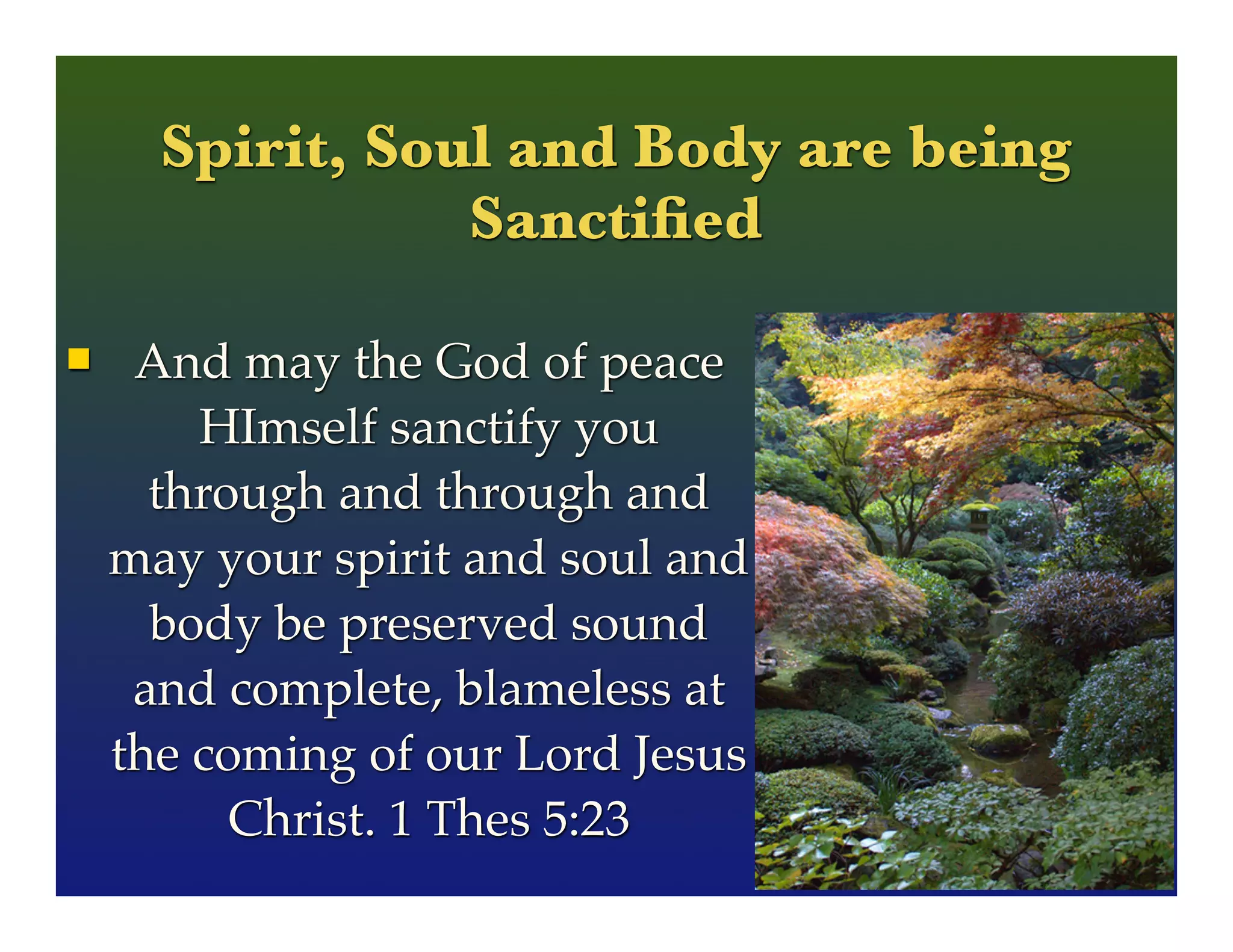 Spirit, Soul and Body are being
Sanctiﬁed
 And may the God of peace
HImself sanctify you
through and through and
may your spirit and soul and
body be preserved sound
and complete, blameless at
the coming of our Lord Jesus
Christ. 1 Thes 5:23
 