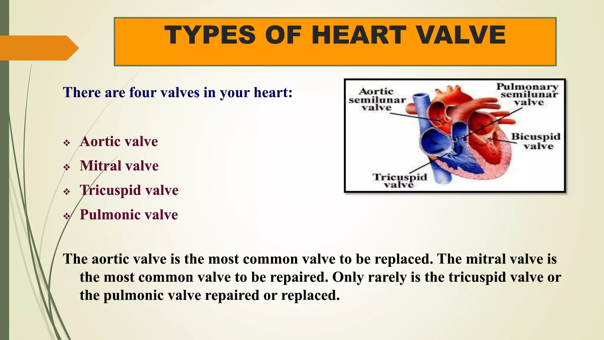 TYPES OF HEART VALVE
There are four valves in your heart:
 Aortic valve
 Mitral valve
 Tricuspid valve
 Pulmonic valve
The aortic valve is the most common valve to be replaced. The mitral valve is
the most common valve to be repaired. Only rarely is the tricuspid valve or
the pulmonic valve repaired or replaced.
 