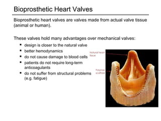Bioprosthetic Heart Valves 
Bioprosthetic heart valves are valves made from actual valve tissue 
(animal or human). 
These valves hold many advantages over mechanical valves: 
 design is closer to the natural valve 
 better hemodynamics 
 do not cause damage to blood cells 
 patients do not require long-term 
anticoagulants 
 do not suffer from structural problems 
(e.g. fatigue) 
 