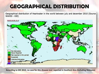 GEOGRAPHICAL DISTRIBUTIONAccording to OIE 2010, no case for this disease ever reported in SouthestAsia (including Malaysia)  